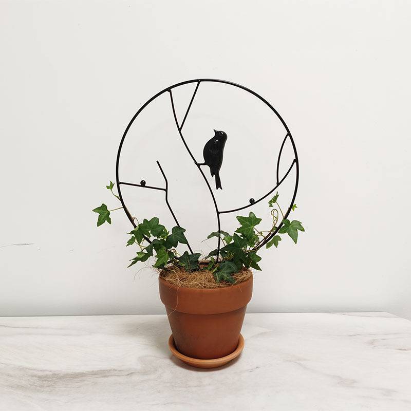 폭발 업그레이드 검은 새 직경 30cm