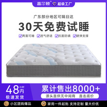 ���Q���ڲ�ُ�����������z���| ϯ��˼���Ǽ��Ƶ�OEM�������ƴ��|