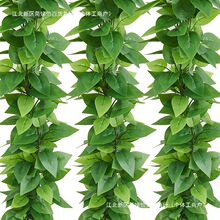 �����ٗl�G�}�~�b٘��~�G���������ϻ���ˮ�ܵ��ړ����{�G�~��