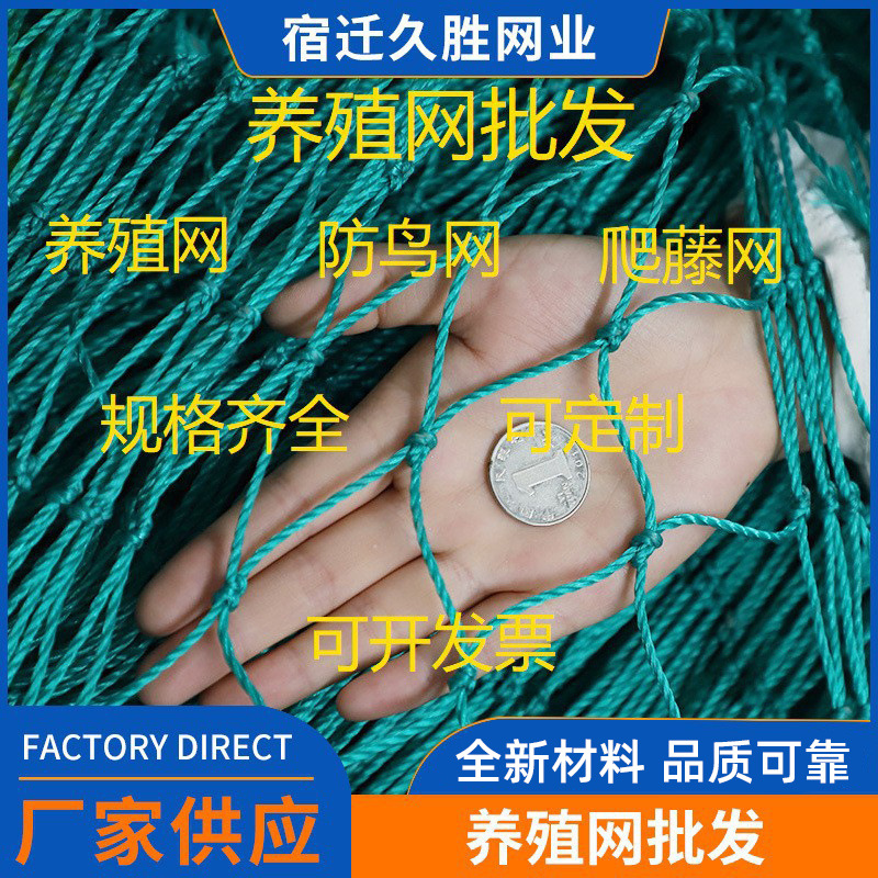 防鸟网养殖天网渔网拉网抬网养鸡网果树大棚聚乙烯全新料鱼塘丝网