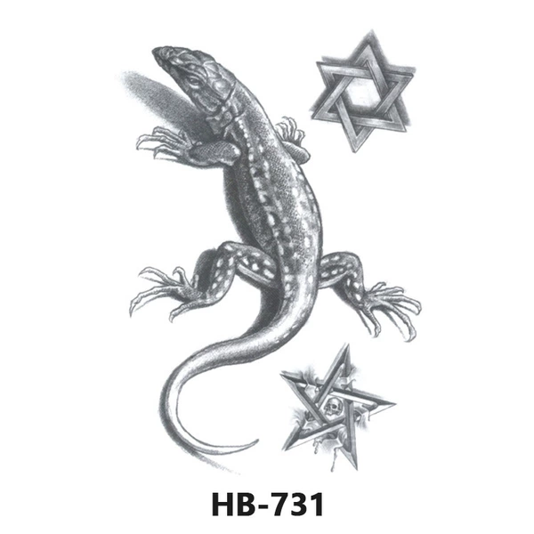 HB-731