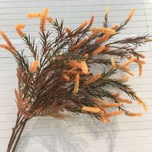 ���S�����¿������β��������K����@�����b�ëë�ݼٻ����l