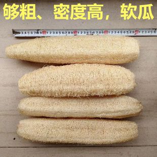 ��Ȼ�z�Ͻj���l �Ͻz��ȿ ˢ�ϴ��ϴ��걳ˮ�� ș�ýz�Ͻ�