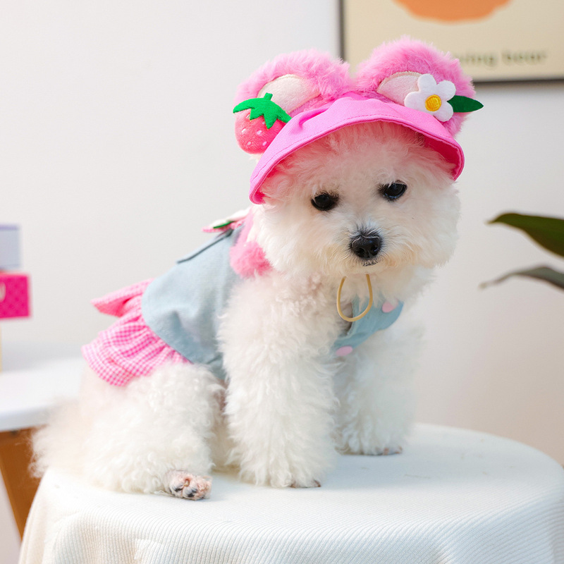 宠物衣服秋冬款小型犬幼犬快乐狗猫保暖舒适服饰草莓花花牛仔裙|undefined