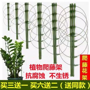 ���ٻ���֧�����̨�G�}�¼��F��ɏ�ٱ�ֲ�����������ӷ������м�