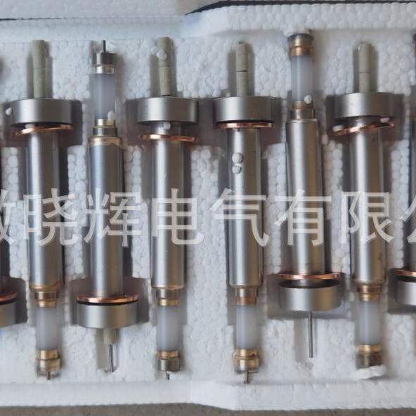 压入式水位计电极UDZ-17I 电接点液位计电极DJY2212-115