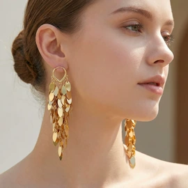 项链;耳钉;耳环