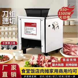 商用切肉机猪肉切片切块切丝切片机全自动多功能绞肉切菜机