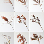 欧式轻奢高端芦苇仿真花假花干花摆设客厅样板间餐桌玄关装饰摆件