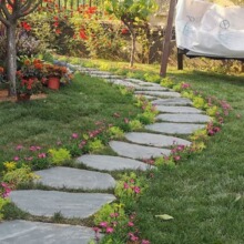 ���@��ƺ͡����ʯ��ͥԺ�A���_̤�شu���@�����·Ժ��̤���|�_ʯ