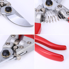 V8 garden scissors pruning shears fruit picking shears pruning shears flower shears pruning shears fruit branch shears garden shears flower branch shears