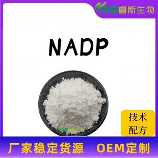&beta;-�����������ʶ�����������  NADP ԭ�� ����ă��F؛