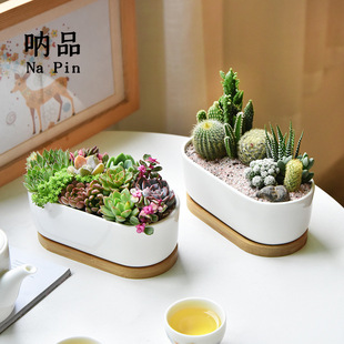 ��Ʒ ���Q���ڿ羳�����״ɻ��� �E�A�״ɺ��s��ɫ����⻨��