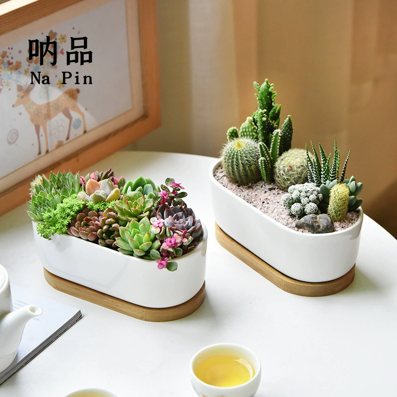 Внешняя торговля Экспорт трансграничный эксклюзивный белый фарфоровый цветочный горшок овальный белый фарфор простой белый мясистый цветочный горшок