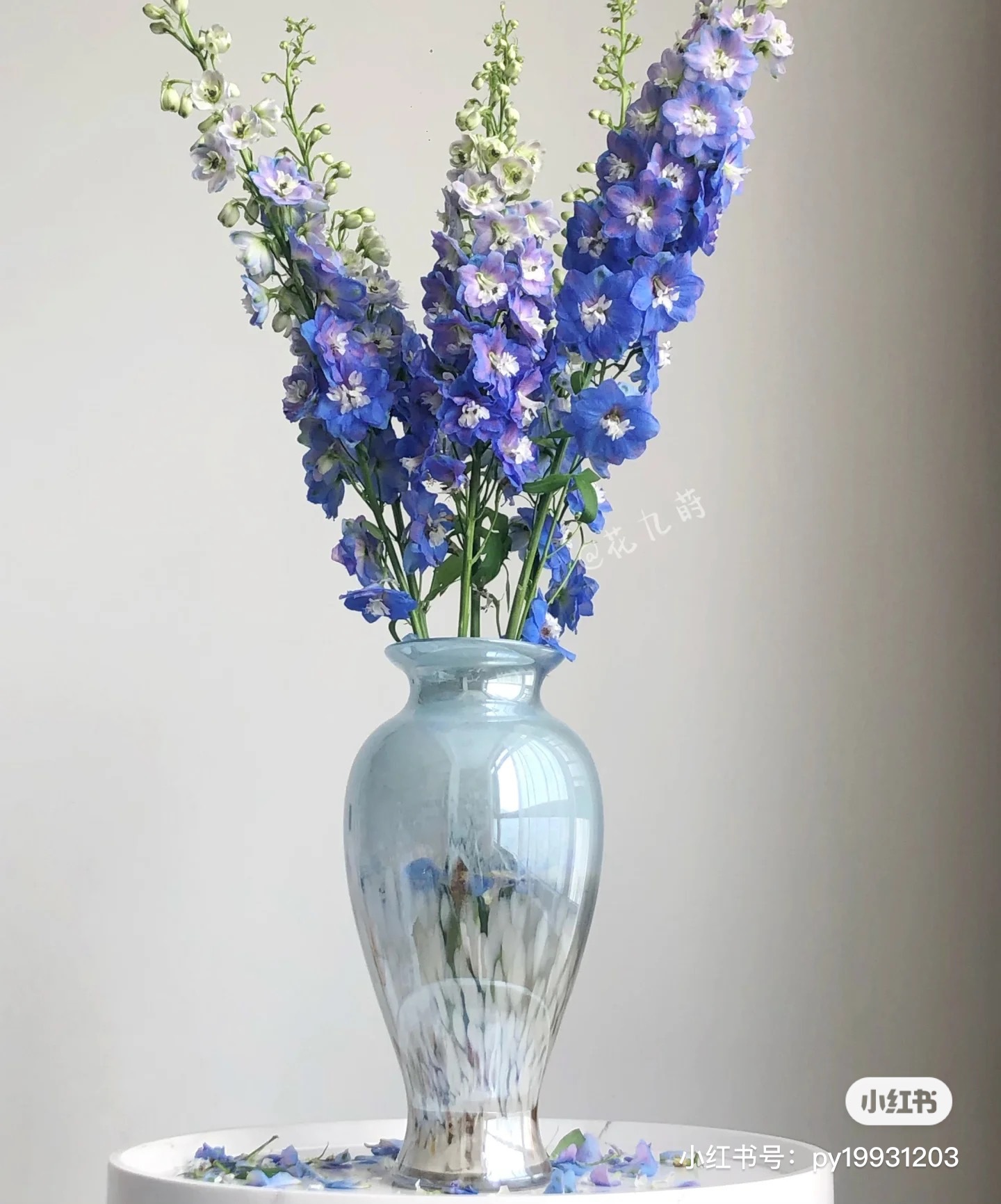 微信图片_20240624114603