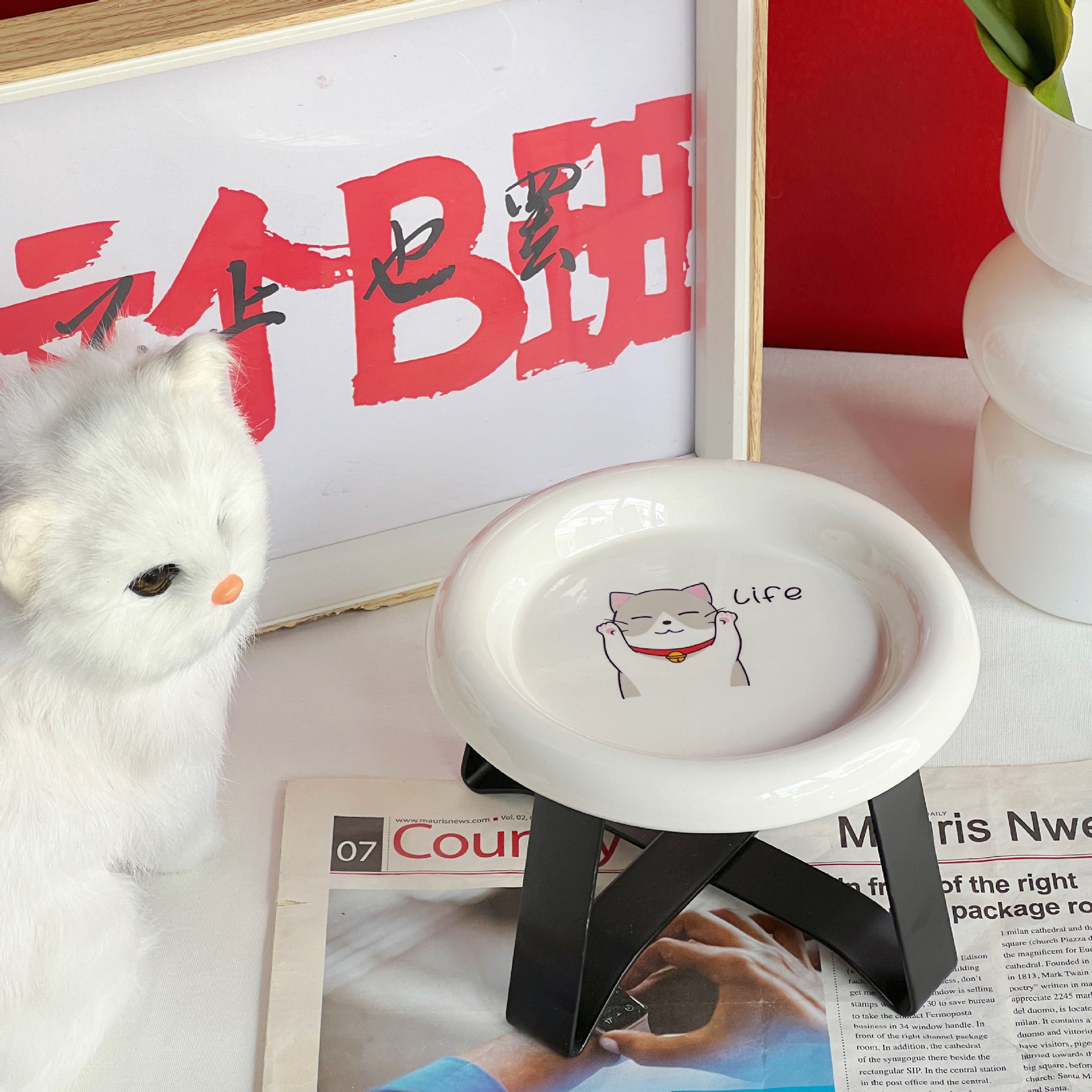 손 고양이 라운드 디스크 BD 블랙 랙 올리기