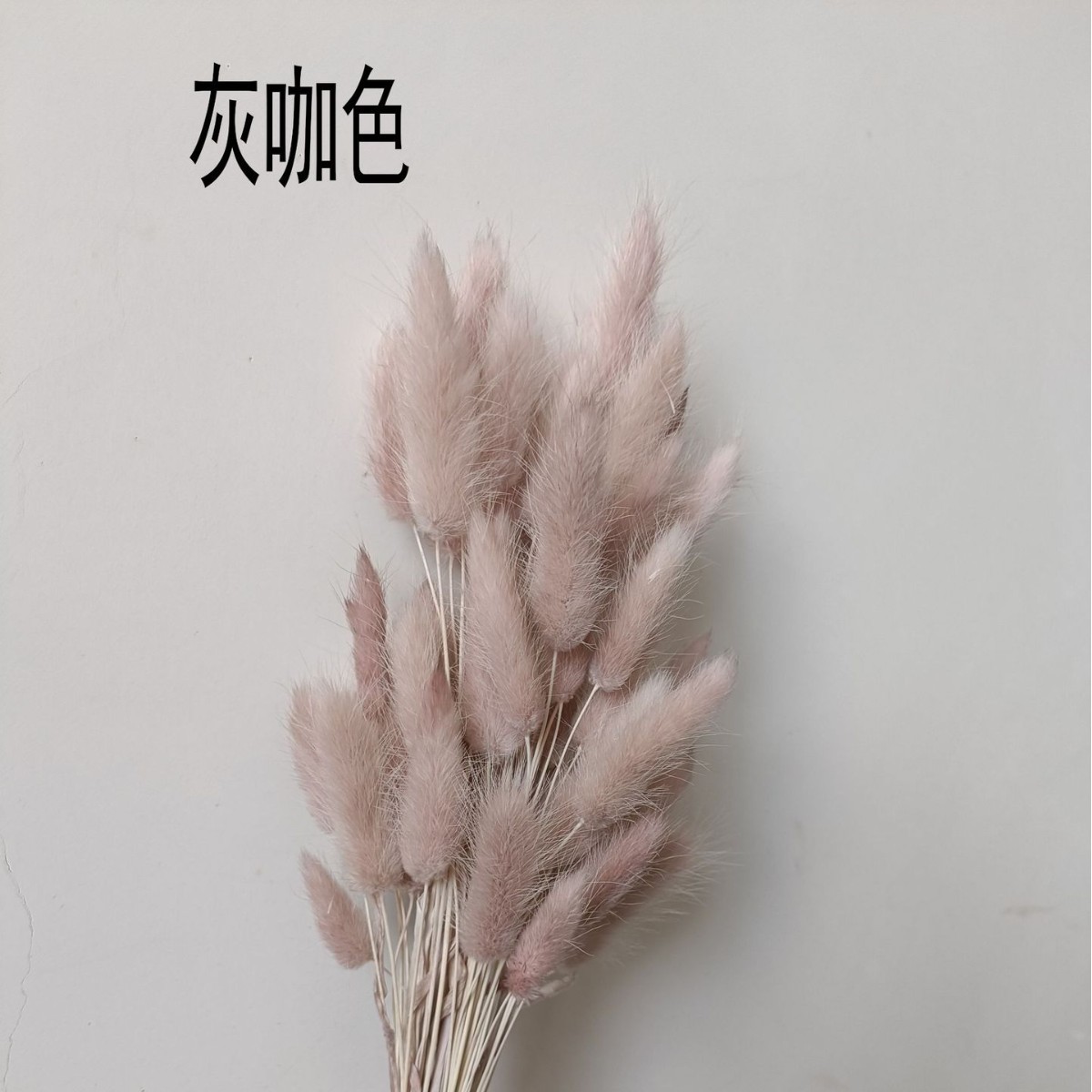 Hierba de cola de conejo flor seca hierba de cola de conejo blanco un montón de 50 piezas