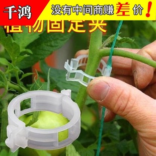 Vine Fixer Hanging Seedlings Grape Branches Vegetable Shelf Vegetable Beans Climbing Vine Fixer Snap Seedling Fixer