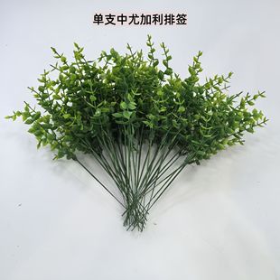 �羳�����ȼ����ݷ���ֲ����X�~�Gɫ��ֲ����������ˮ���b���