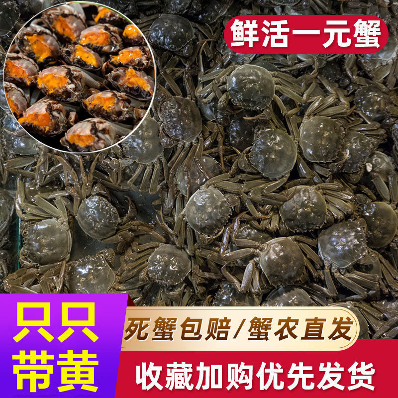 Crab Crab goods in stock wholesale Fresh One yuan Hairy Crab Shimizu Crabs