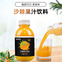 沙棘果汁饮料山东皇庵堂厂家电商代理100-1000ml玻璃瓶灌装线