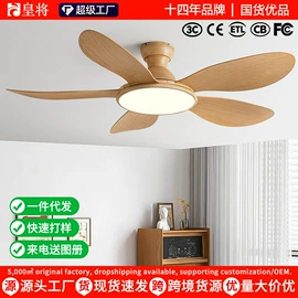 风扇灯;电风扇;吊扇