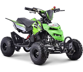 沙滩车;其他摩托车