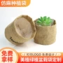 圆底圆形盆栽麻布绿植