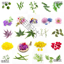 ���r�[�P�b� �͏d���ϴ�����P���r�����˾�����c�Yֲ��