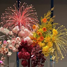 �¿�����ȸ�ݶ���JȔ�ݼٻ����滨������Y·���廨�b�Ʒ���l