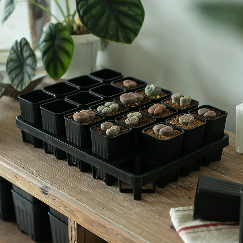 Bandeja de Plástico para Macetas, Cuadrada Negra, para Suculentas y Plántulas