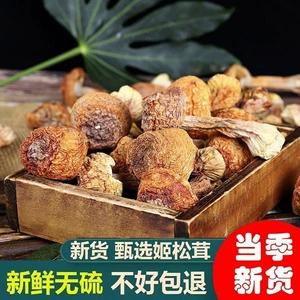 Юньнань специализированный сорта без серы агарикус Matsutake Dry Goods 500G Phytonus matsutake грибы грибы из сухофмочной грибы с куриной сосной грибы