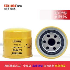 Supply of 4463783 Excavator Hitachi Hydraulic Pipeline Filter Element, Filter, Pipeline Filter Maintenance Parts