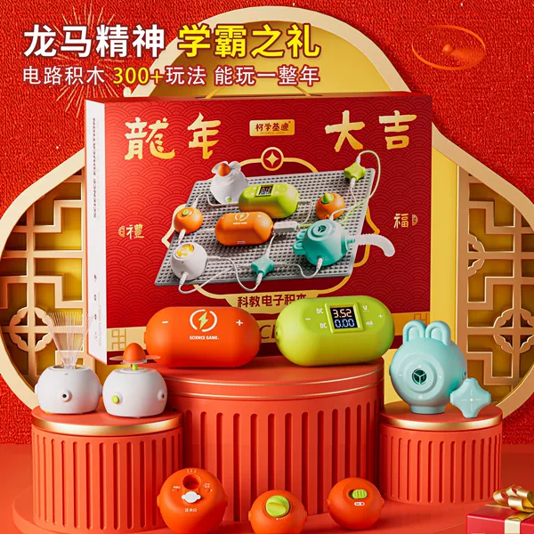 Electronic Building Blocks 1006-New Year Edition [30% off on returns]
