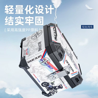 Motorcycle trunk: Imitation Aluminum Alloy Trunk Large