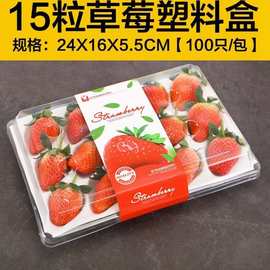 草莓新鲜15枚装托盘商用丹东草莓白雪草莓奈雪草莓专用白色托盘