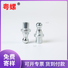 ���P��D�����^��܇����B���w�������^��˨���^��ĸ