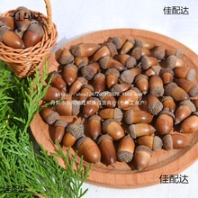 ȻĹȻӸɹ}QDIYֹ׃@bù