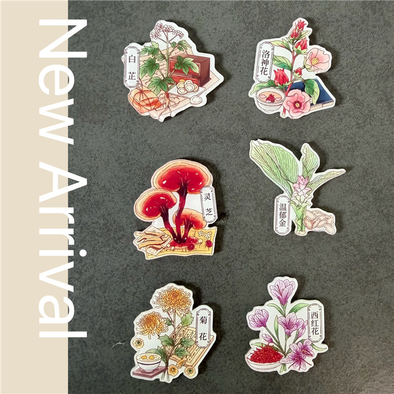 Chrysanthemum, Ganoderma, Dendrobium, Roselle, Yew, Refrigerator Magnet, Decorative Magnet, Popular Science Medicinal Materials Magnet, Gift for Friends