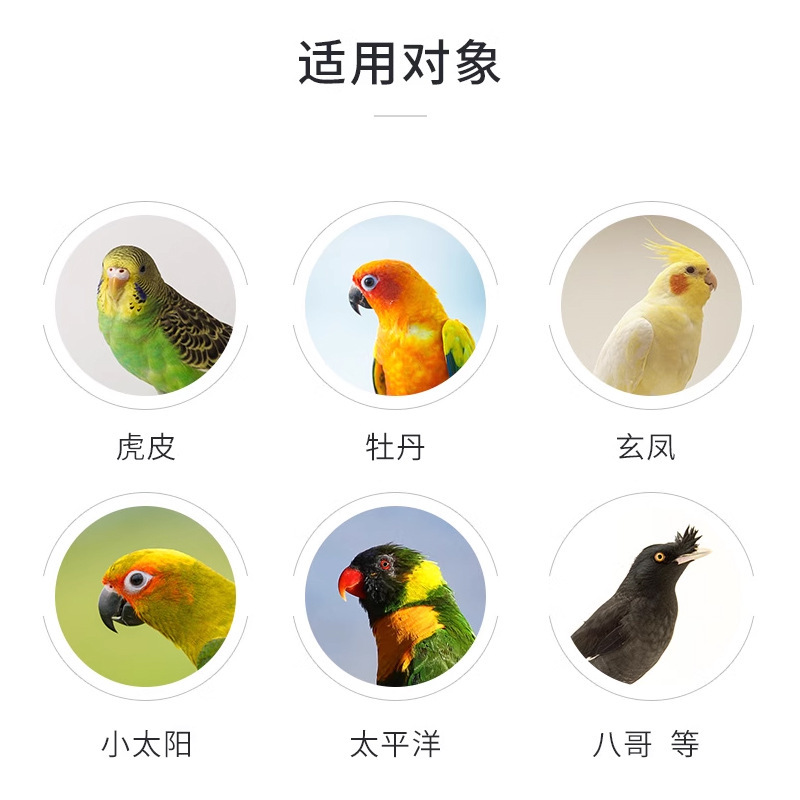 下料器谷殻分離虎皮牡丹防散水透明飲水器オウム自動給餌器防撒鳥食箱|undefined