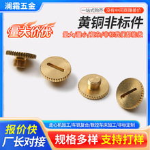 �ǘ��������ӹ�����܇��܇���S�~�L���ݽzƽ�_�T���L�ι̶��ݽz