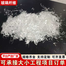 短切玻璃纤维 无碱短切丝2mm 3mm 6mm10mm 厂家供应玻璃纤维丝