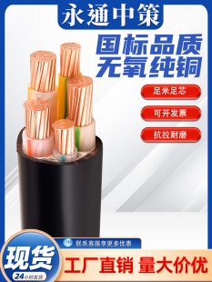 ��ͨ�в���|����yjv2 3 45о10 16 25 35��ȼ�����ľ��~о��|��