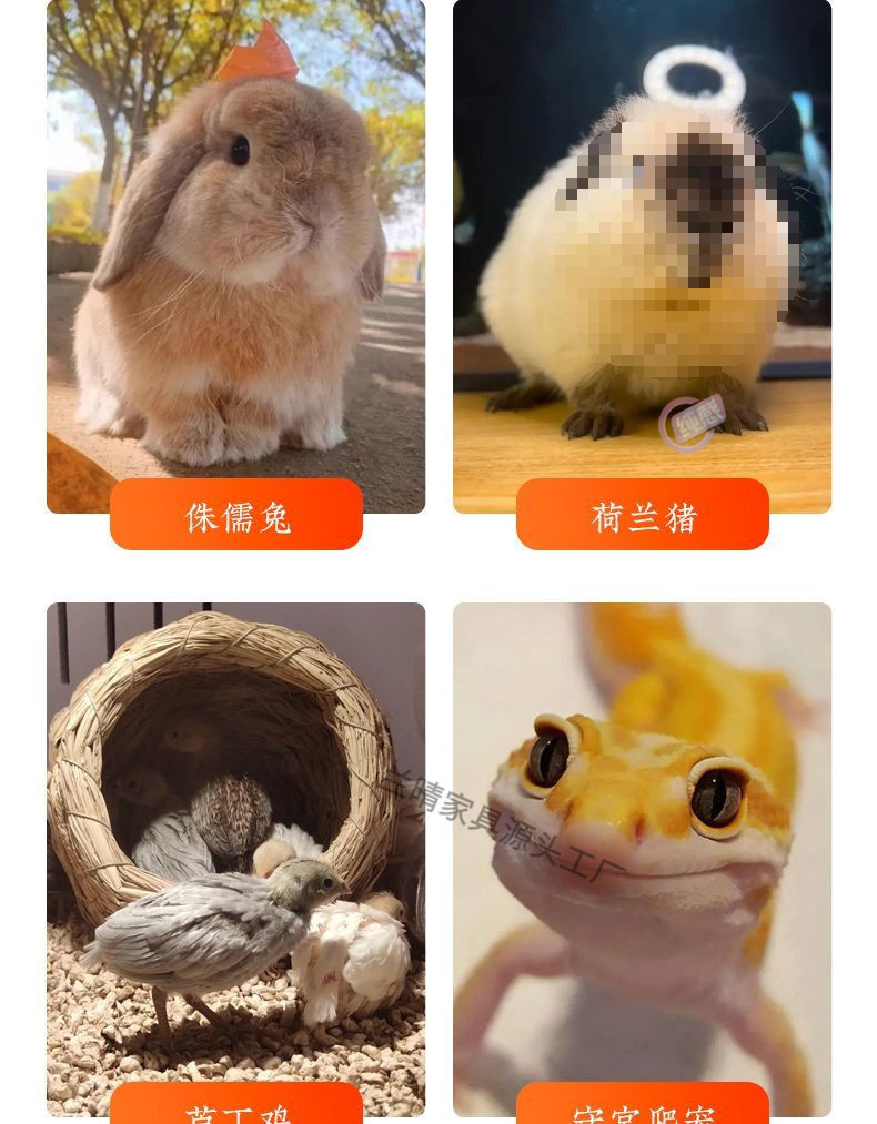 49590e47-e6d0-433a-bc14-865eb3e5d153.jpe