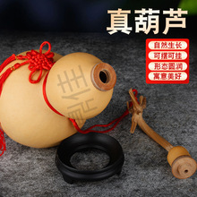 �ش��]�ڎ�����Ȼ����J�[���T���T�Ҿ�С���J����_�ڿ��Ď���