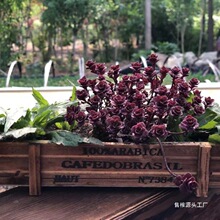 �͹�ľ�|�������fľ�ж��⻨ֲ�ﻨ��[��̼���͹Ŷ��⻨�ۏSE18