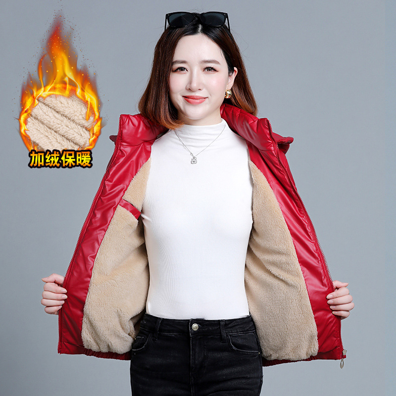 레드