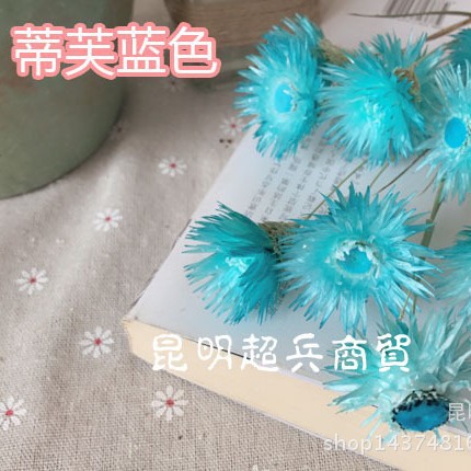 Flor seca Loto de nieve seca Lotus de nieve mini ramo con flor hogar arreglo de flores combinación flor seca