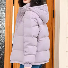 ��q��2025�ﶬ����ɲ�жñ���ɰٴů90�����q��