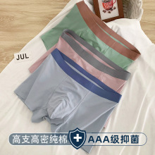 超市单条装内裤纯棉男士无痕高支潮流男生短裤透气平角裤挂装